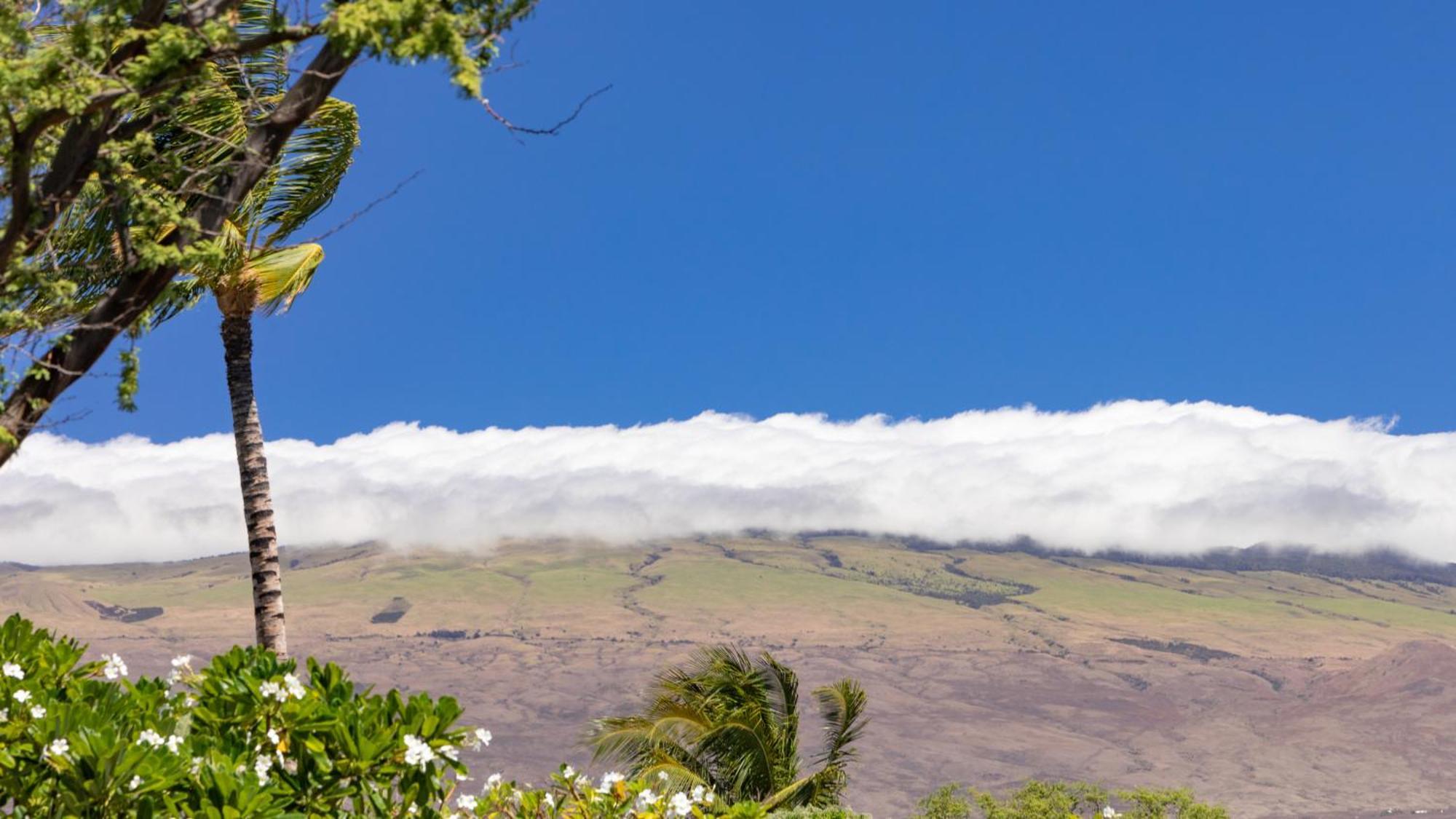 Plumeria Hale Exquisite 4Br Kamilo Home With Bikes And Beach Gear Waikoloa Exterior photo